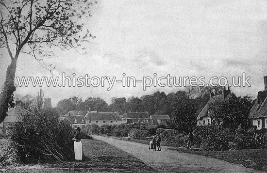 Water's Road, Hatfield Broad Oak, Essex. c.1903